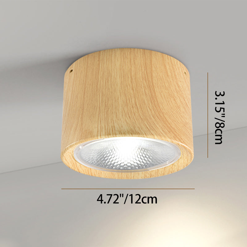 Modern Minimalist LED Ceiling Spotlight