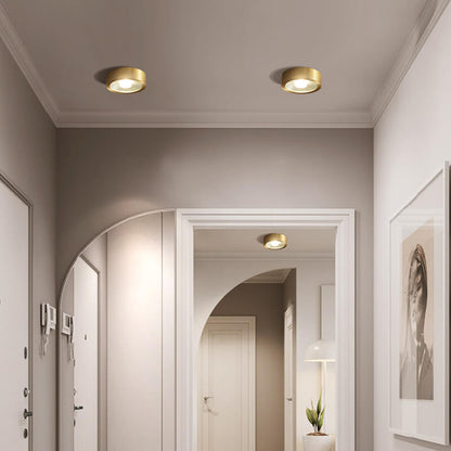 Modern Gold Round LED Ceiling Light