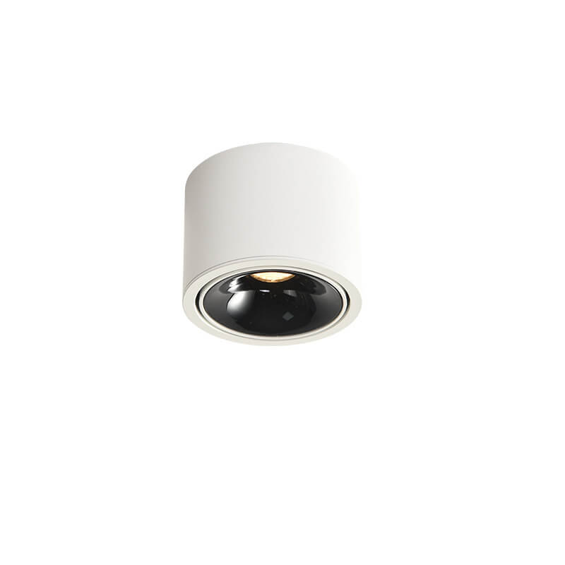 Adjustable Cylinder LED Ceiling Spotlight