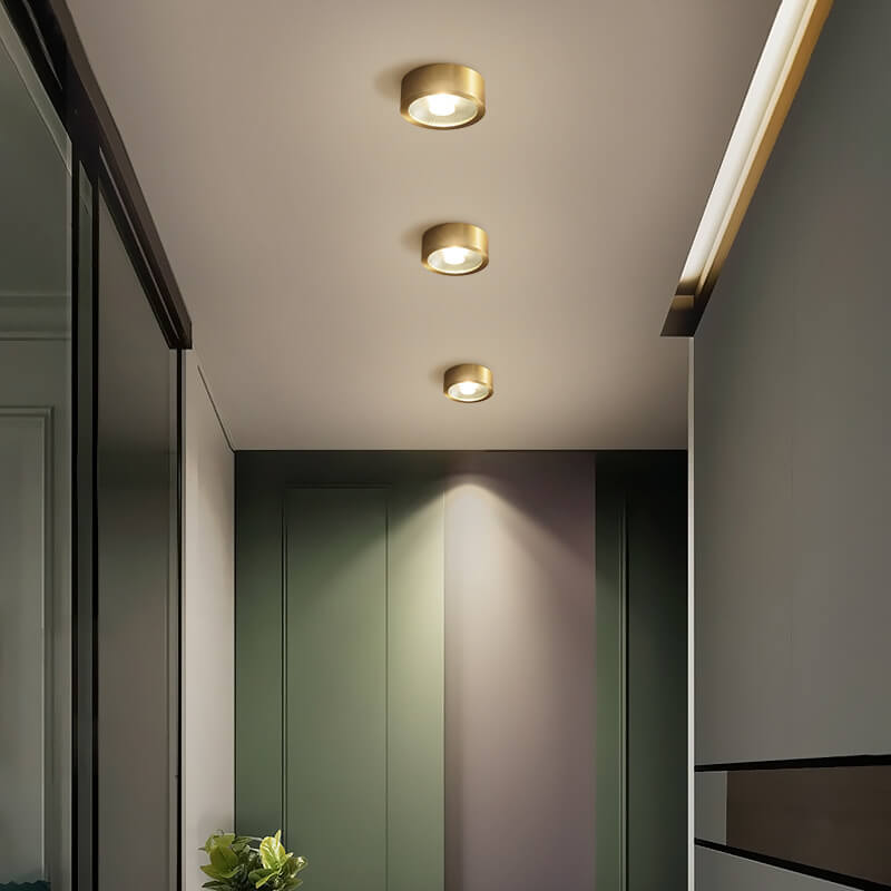 Modern Gold Round LED Ceiling Light
