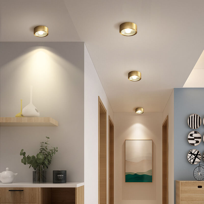 Modern Gold Round LED Ceiling Light