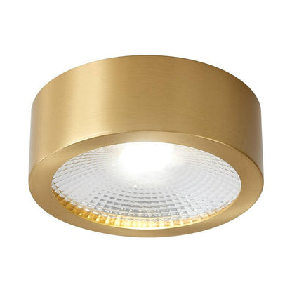 Modern Gold Round LED Ceiling Light