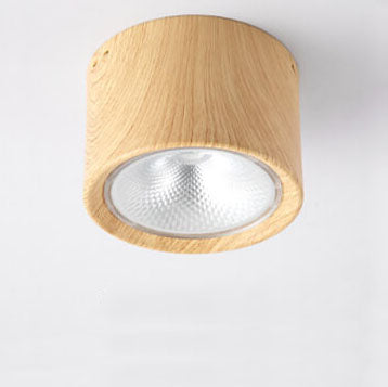 Modern Minimalist LED Ceiling Spotlight