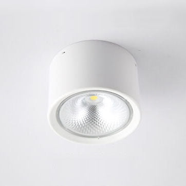 Modern Minimalist LED Ceiling Spotlight