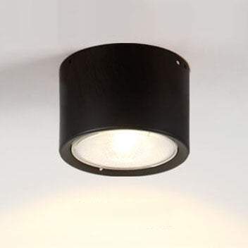 Modern Minimalist LED Ceiling Spotlight