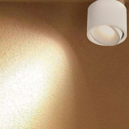 Adjustable Cylinder LED Ceiling Spotlight