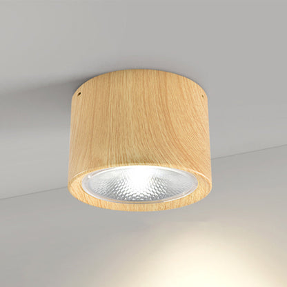 Modern Minimalist LED Ceiling Spotlight