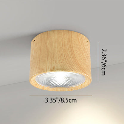 Modern Minimalist LED Ceiling Spotlight