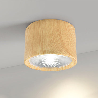 Modern Minimalist LED Ceiling Spotlight