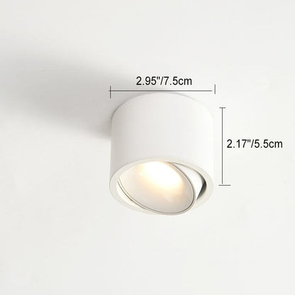 Adjustable Cylinder LED Ceiling Spotlight