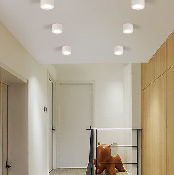 Modern Minimalist LED Ceiling Spotlight