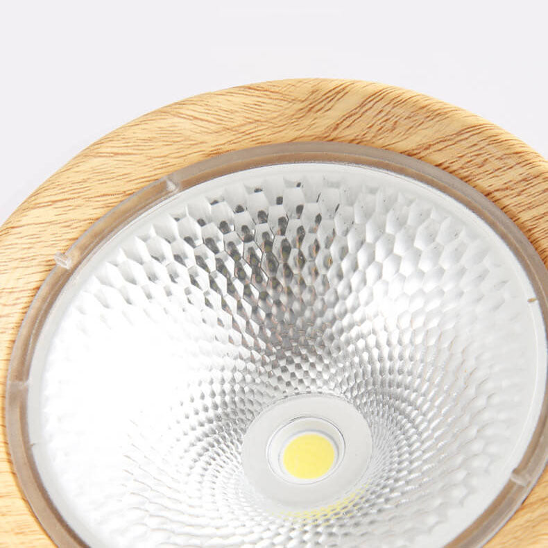 Modern Minimalist LED Ceiling Spotlight