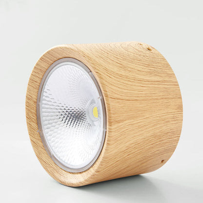 Modern Minimalist LED Ceiling Spotlight