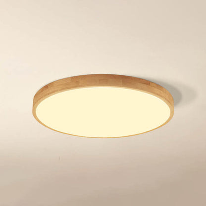 Modern Wood Trim LED Ceiling Light