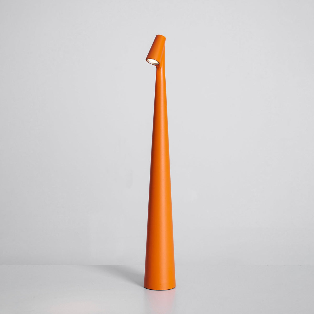 Africa Built-in Battery Table Lamp