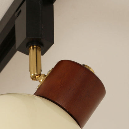 Modern Adjustable Wood Accent Track Light