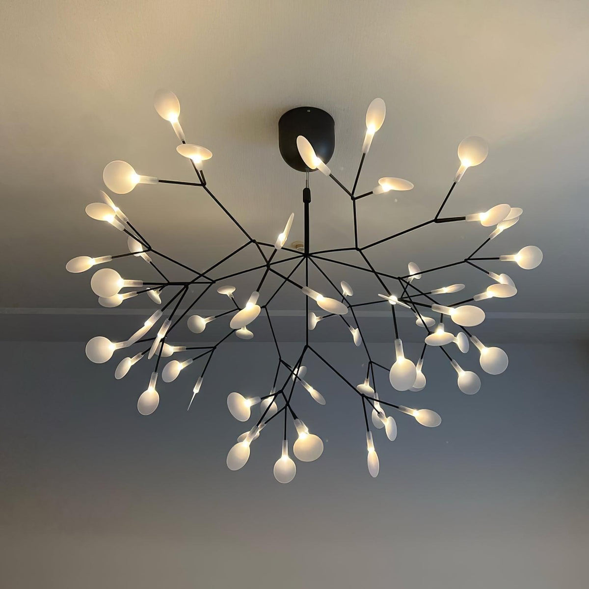 Lumia LED Chandelier