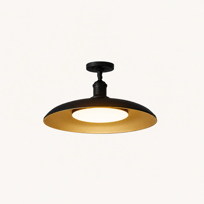 Outdoor Modern Black Metal Flush Mount Ceiling Light