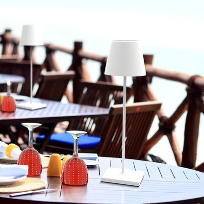 Cordless Rechargeable LED Table Lamp (built-in battery)