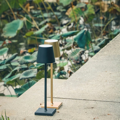 Cordless Rechargeable LED Table Lamp (built-in battery)