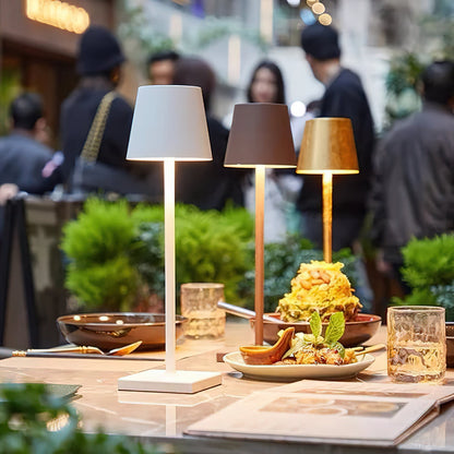 Cordless Rechargeable LED Table Lamp (built-in battery)