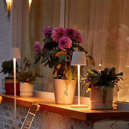 Cordless Rechargeable LED Table Lamp (built-in battery)