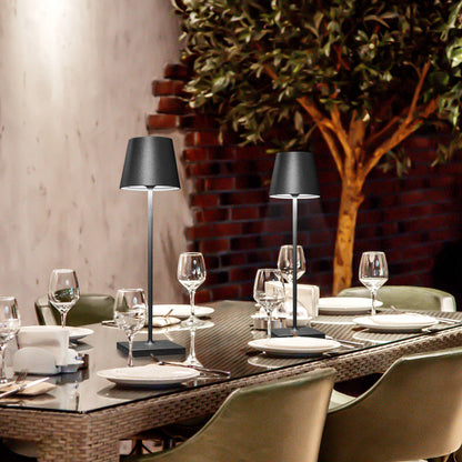 Cordless Rechargeable LED Table Lamp (built-in battery)