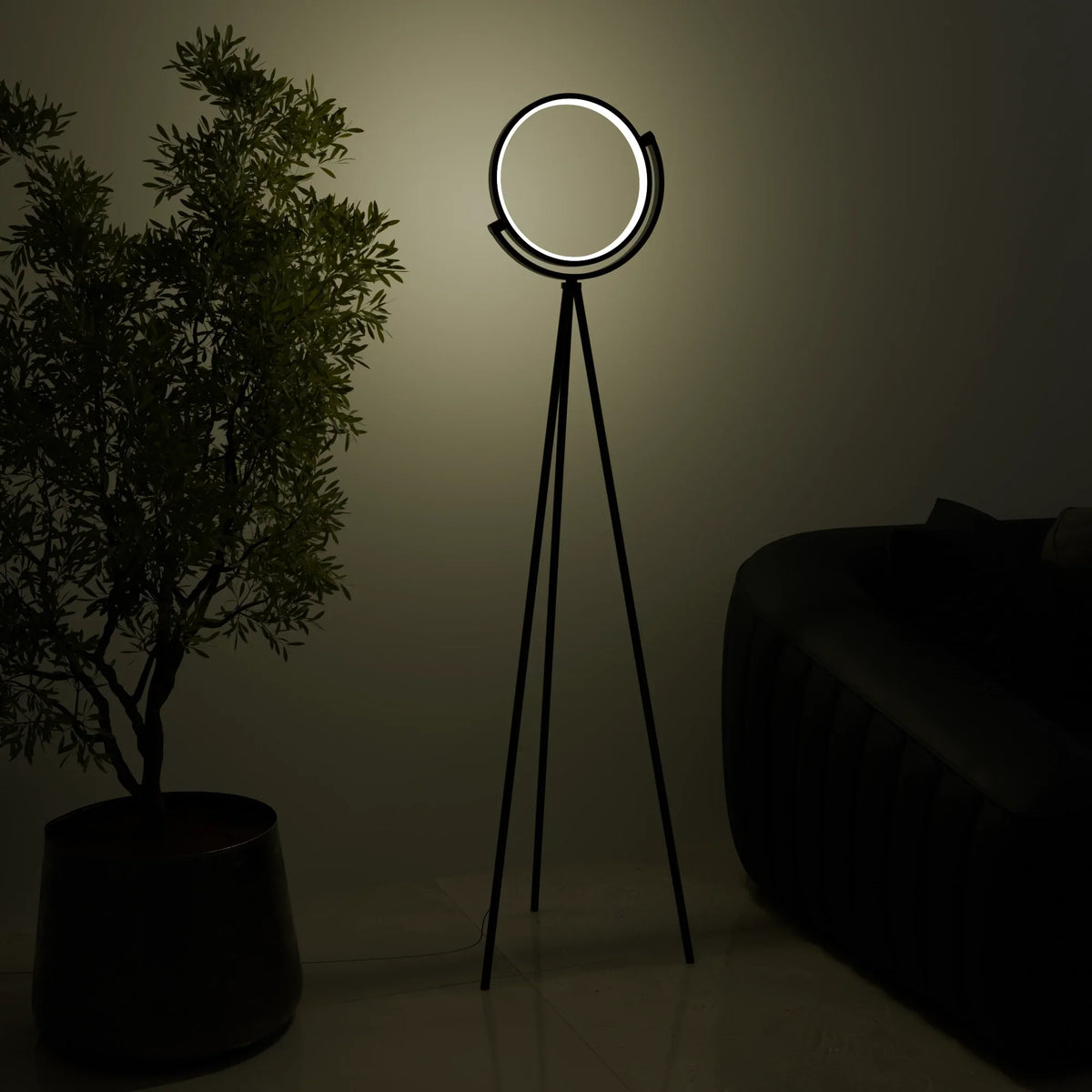 Modern LED Floor Lamp