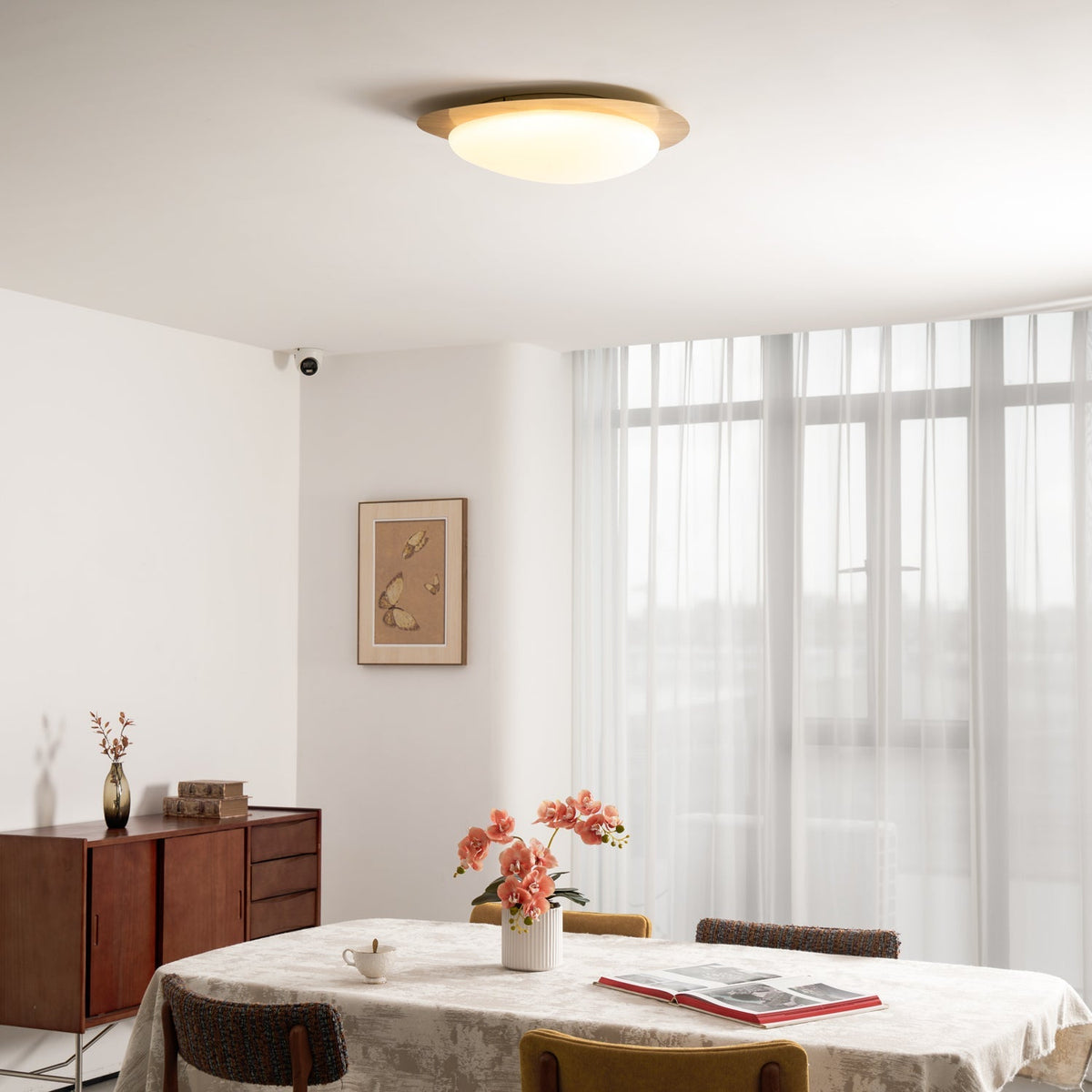 Halo Drift Ceiling Light