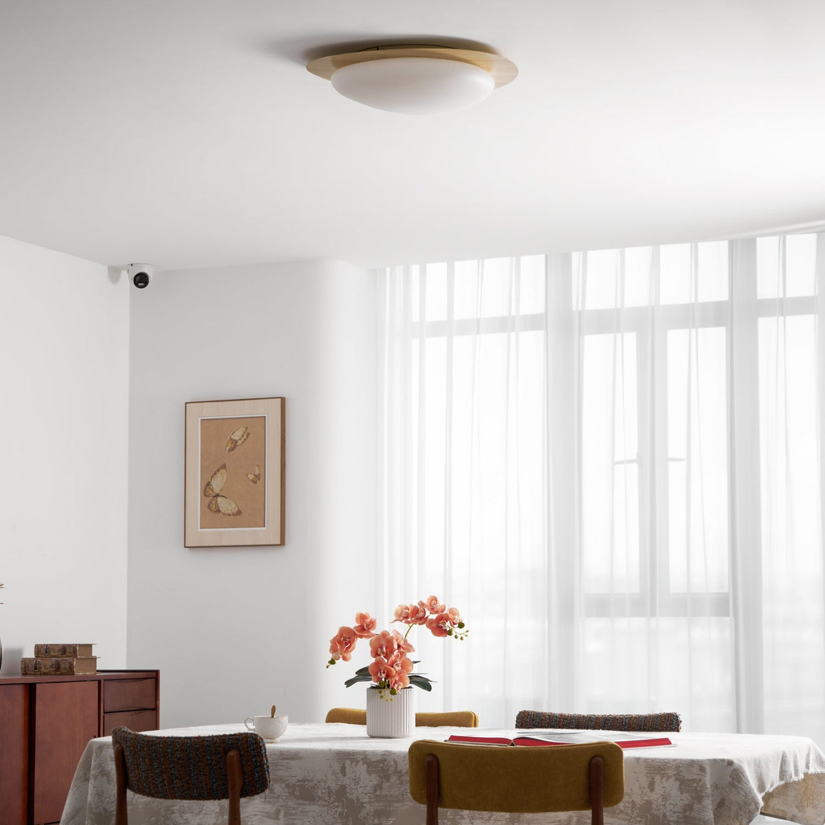 Halo Drift Ceiling Light
