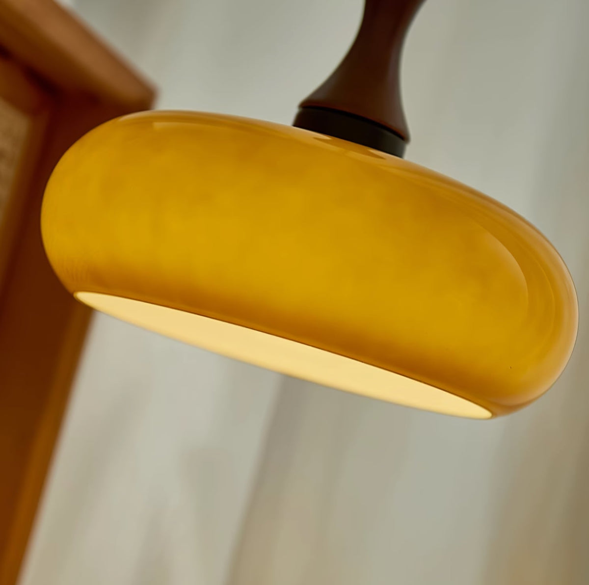 Luna Glass Plug In Pendant Light