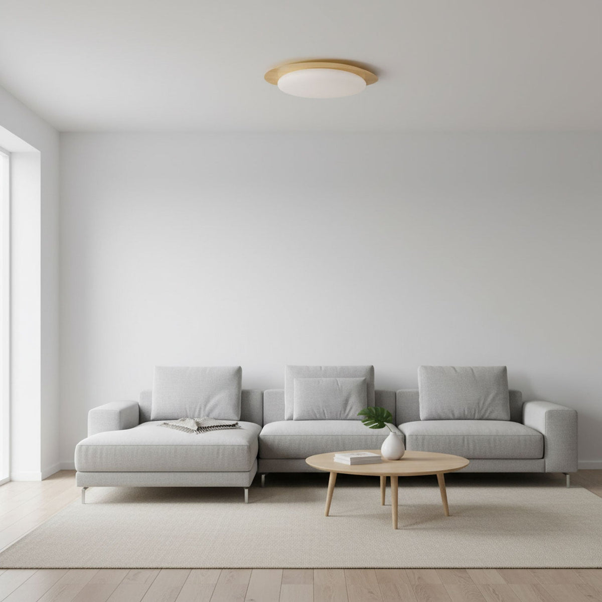 Halo Drift Ceiling Light