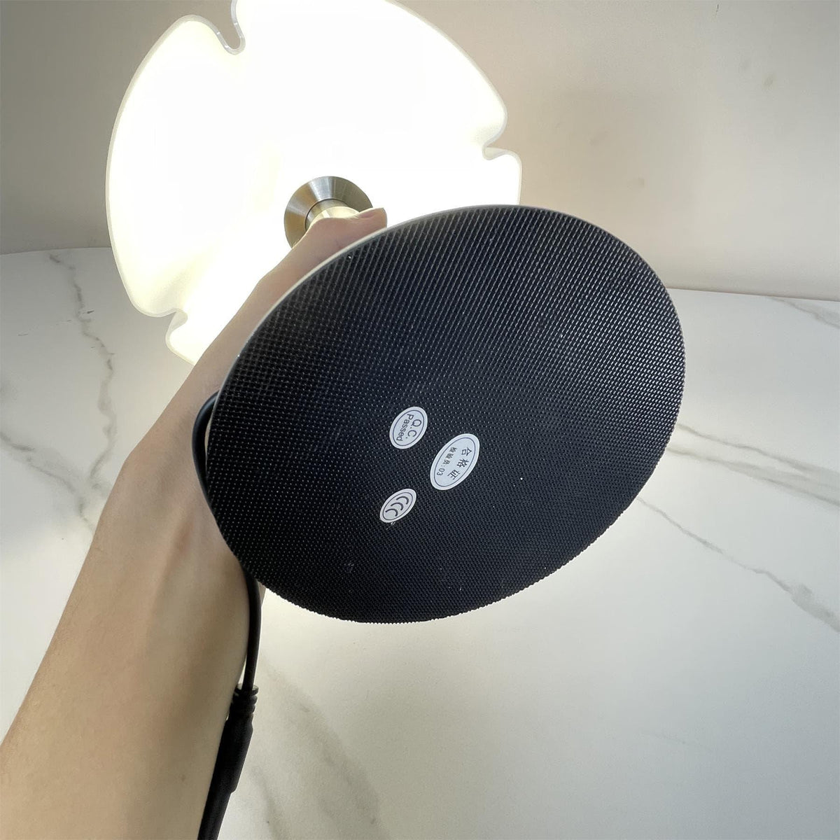 Pipistrello Modern Table Lamp