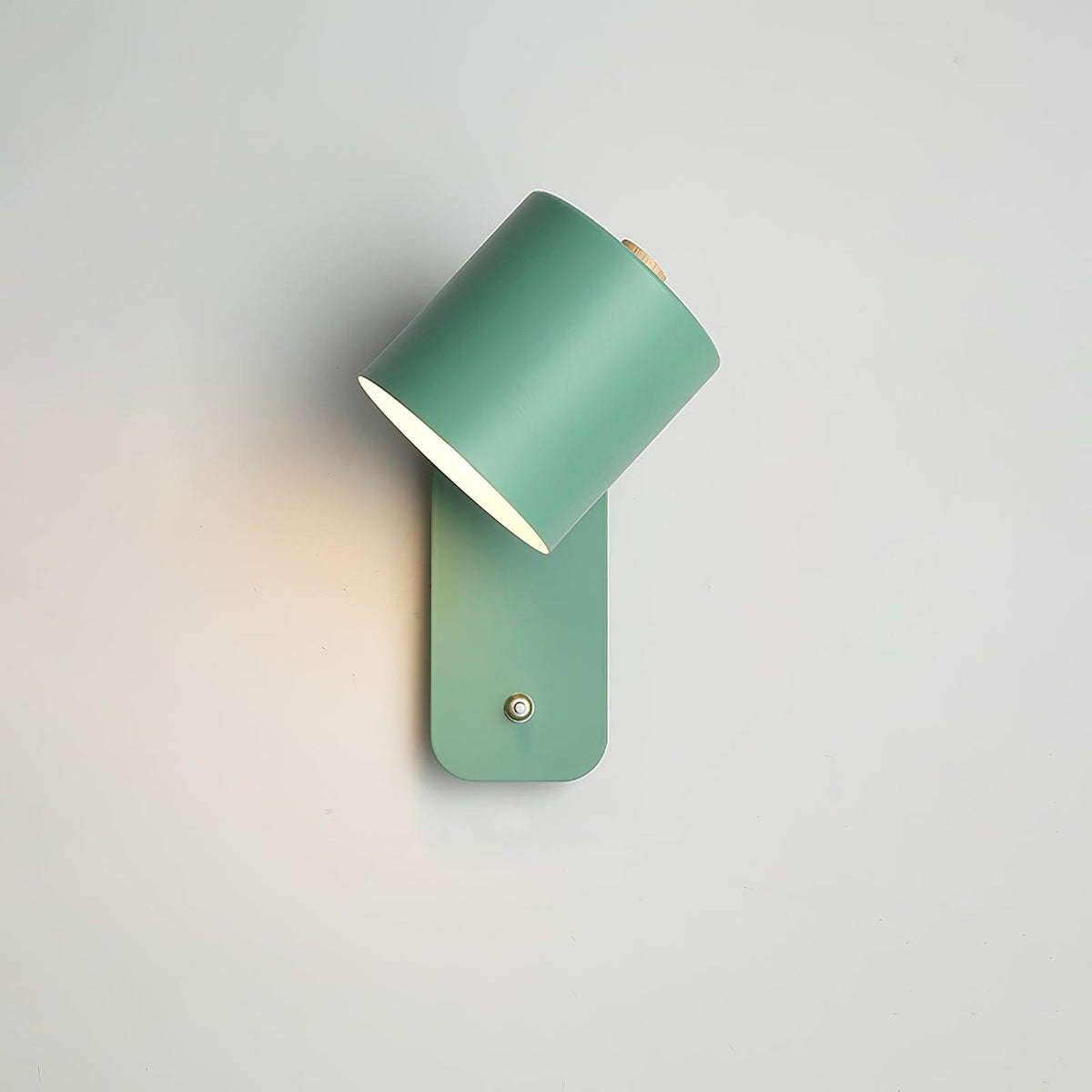 Astra Rotating Wall Light