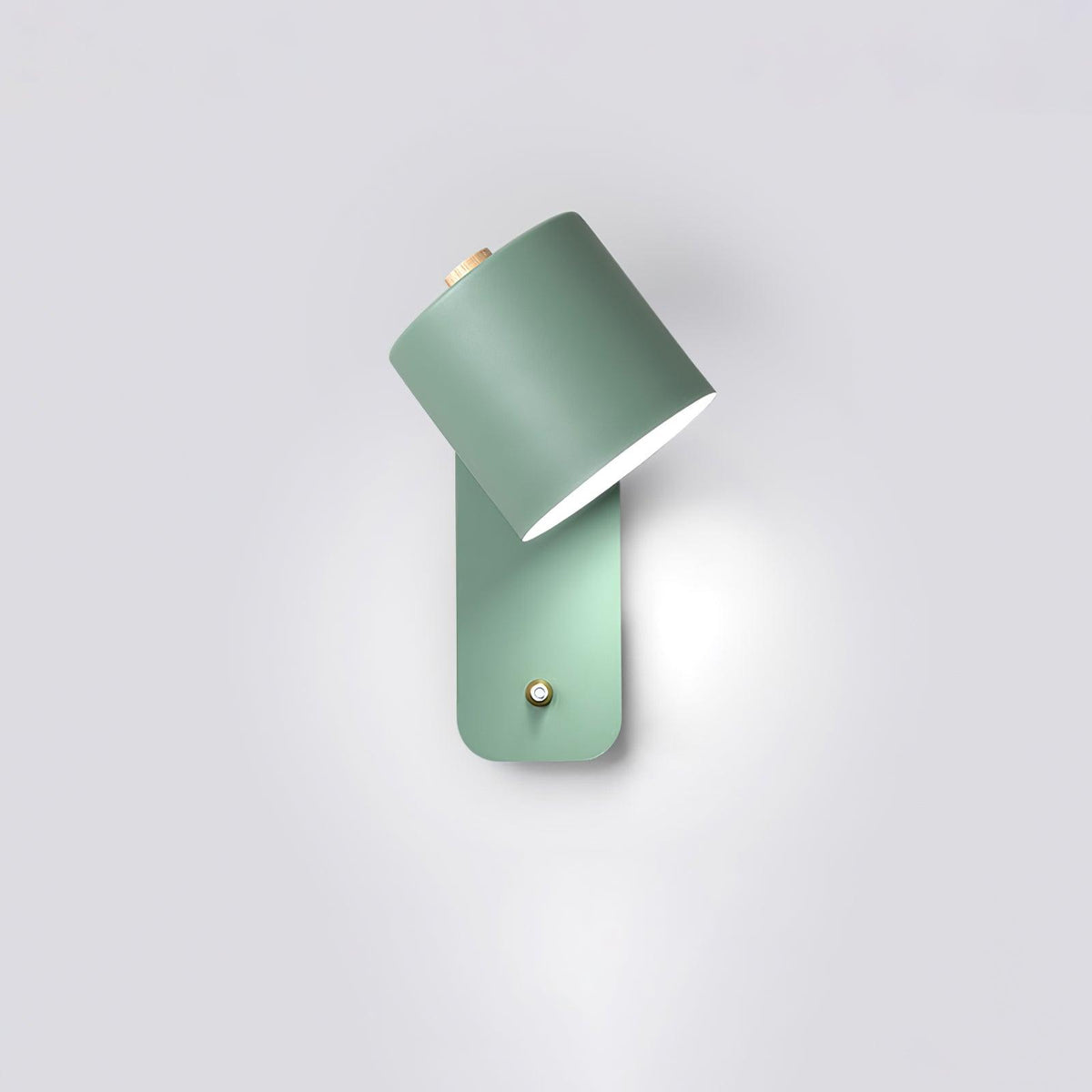 Astra Rotating Wall Light