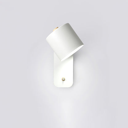 Astra Rotating Wall Light