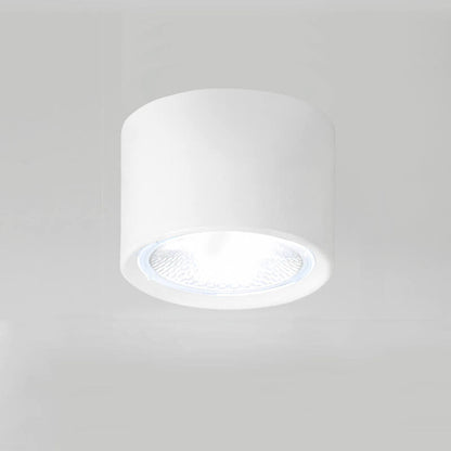 Modern Minimalist LED Ceiling Spotlight