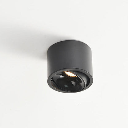 Adjustable Cylinder LED Ceiling Spotlight