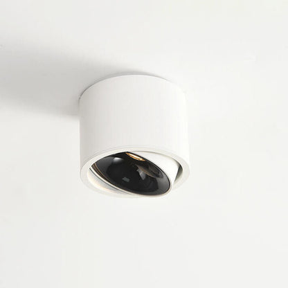 Adjustable Cylinder LED Ceiling Spotlight