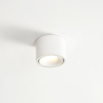 Adjustable Cylinder LED Ceiling Spotlight