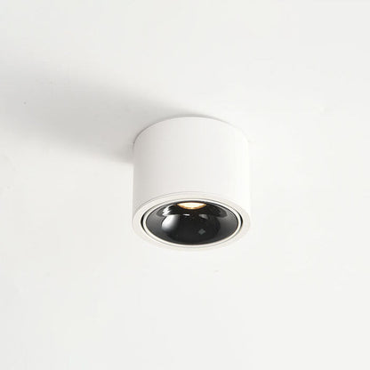 Adjustable Cylinder LED Ceiling Spotlight