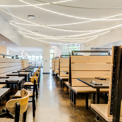 Flexible LED Pendant Ceiling Light