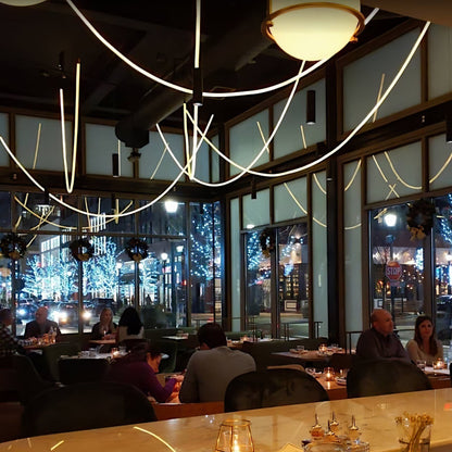 Flexible LED Pendant Ceiling Light