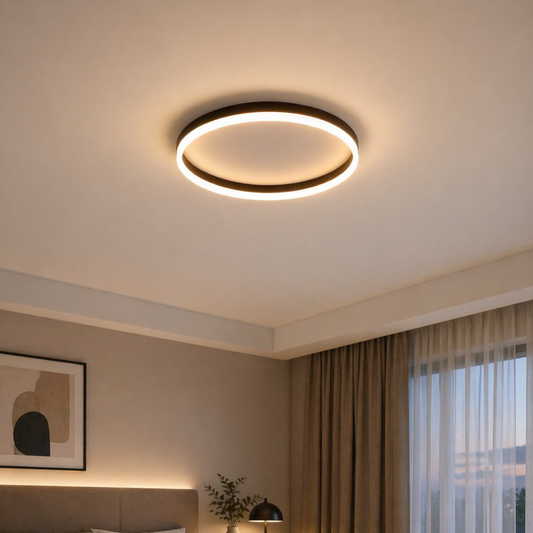 Modern Halo Ring LED Ceiling Light