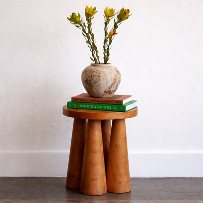 Sculpted Solid Wood Sable Stool