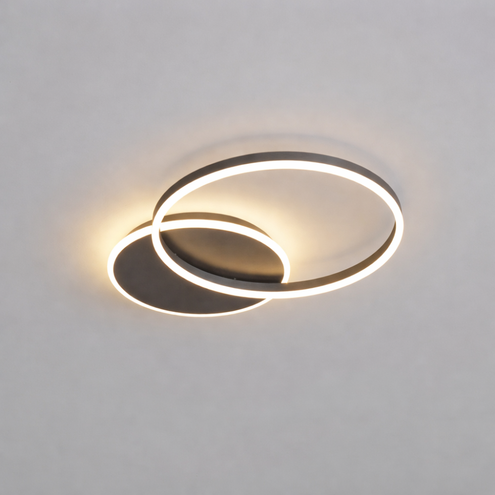 Modern Ring LED Flush Mount Ceiling Light
