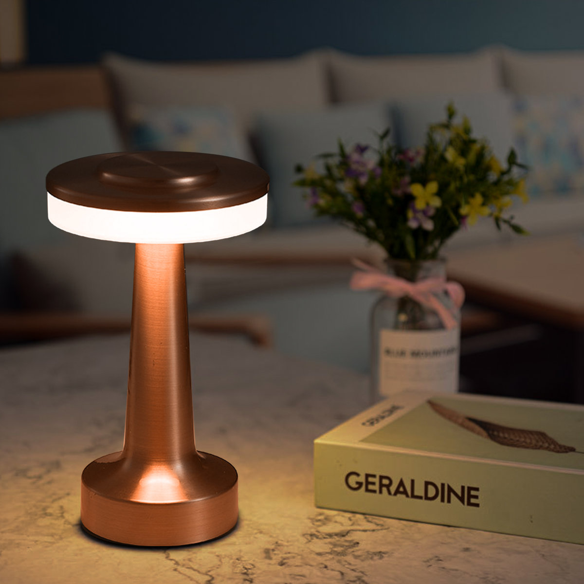 Portable LED Desk Lamp