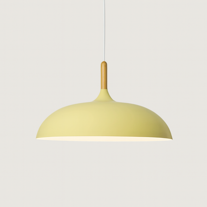 Modern Pastel Wood Accent Pendant Light