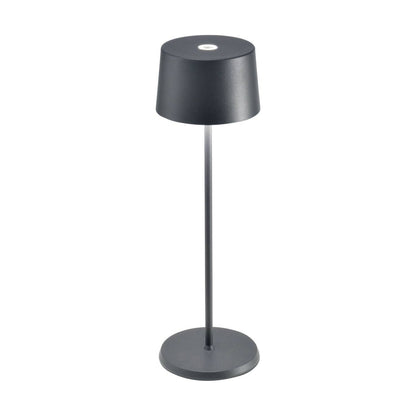Liora Portable Table Lamp