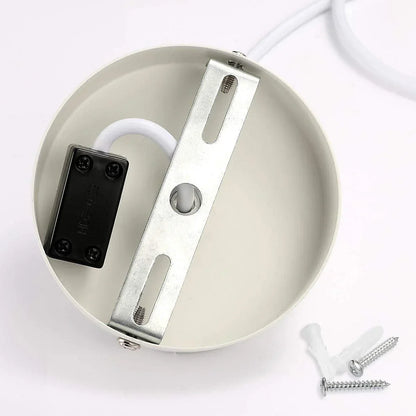 Haru Organic Pendant Light